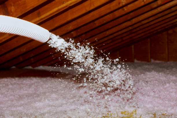 Best Insulation Installation Services in Twin Lake, MI